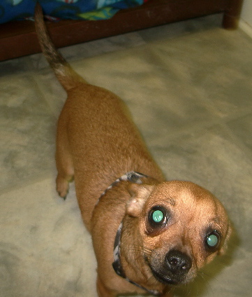 peanut4.jpg